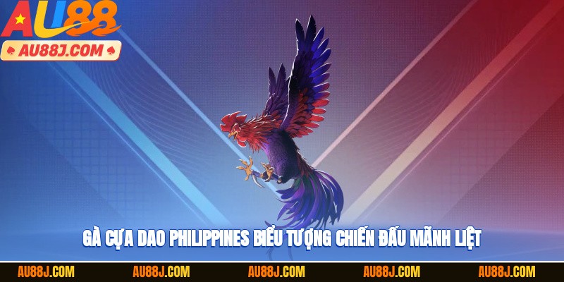 Gà cựa dao Philippines – biểu tượng chiến đấu mãnh liệt